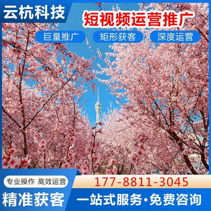 兰考抖音图文推广